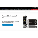 Негативный отзыв blackview-spb-experts.ru