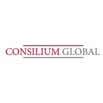 Осторожно!! consilium-global.com | Consilium Global