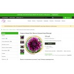 Внимание мошенники! rozalia73.ru | ООО «Розалия»