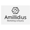 Положительный отзыв Amillidius.com